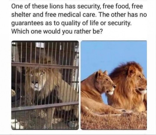 security vs freedom 02.jpg